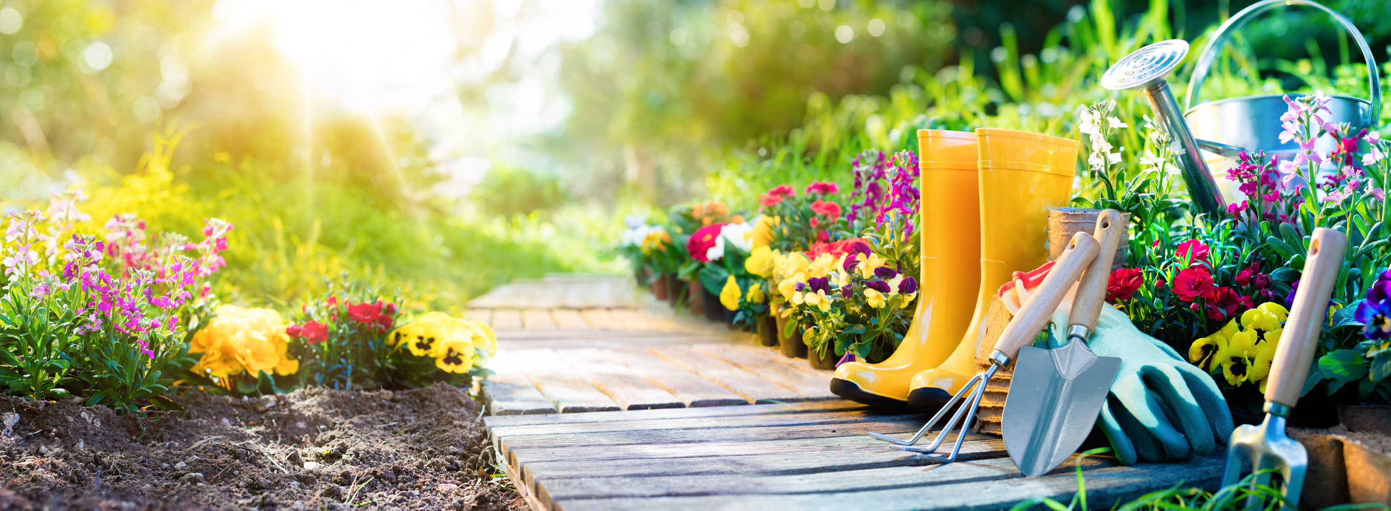 Top Health Benefits of Gardening